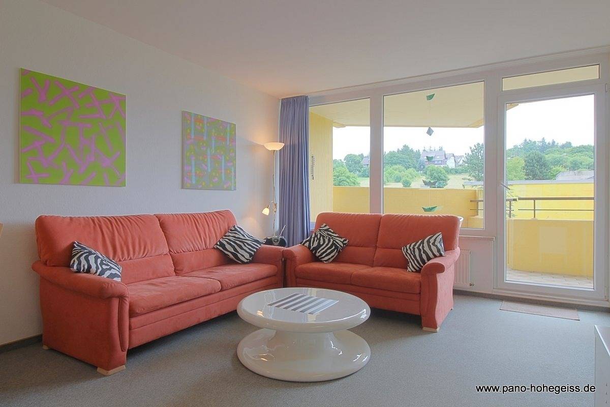 Ganze Ferienwohnung, Apartment 228 in Hohegeiß, Harzvorland