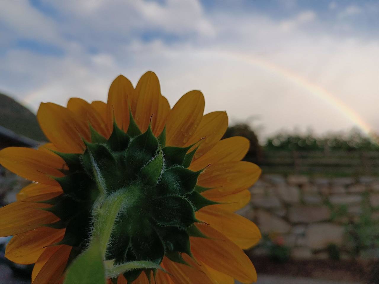 Ganze Ferienwohnung, Zum Lindenwirt - App Kastanie in Aicha, Natz-Schabs