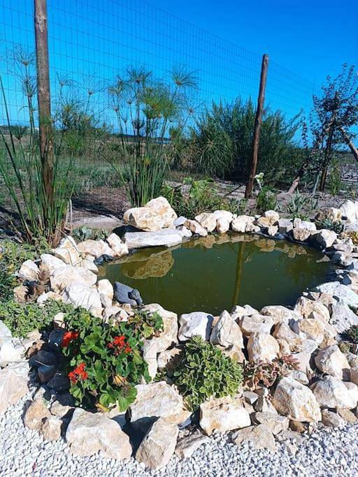 Location de vacances pour 4 personnes, avec jardin et vue dans Gafanha da Boa Hora - 4
