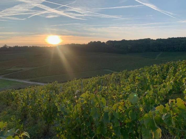 Gîte pour 2 personnes, avec terrasse et vue à Sézanne - 4