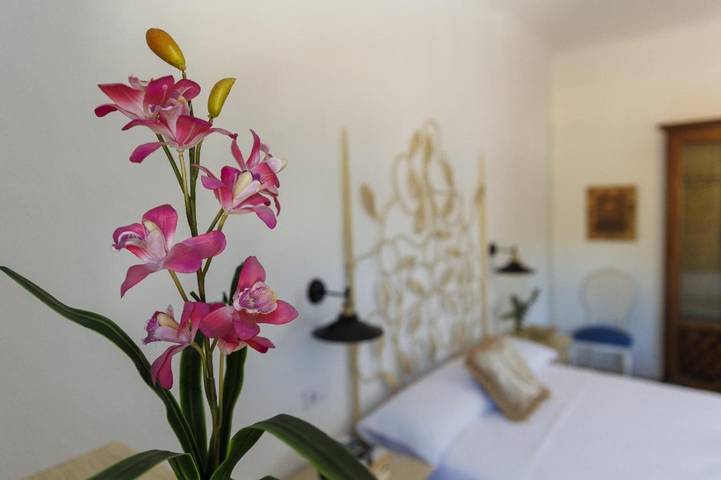 Casa rural para 27 personas, con vistas además de jardín y piscina en Rute - 3