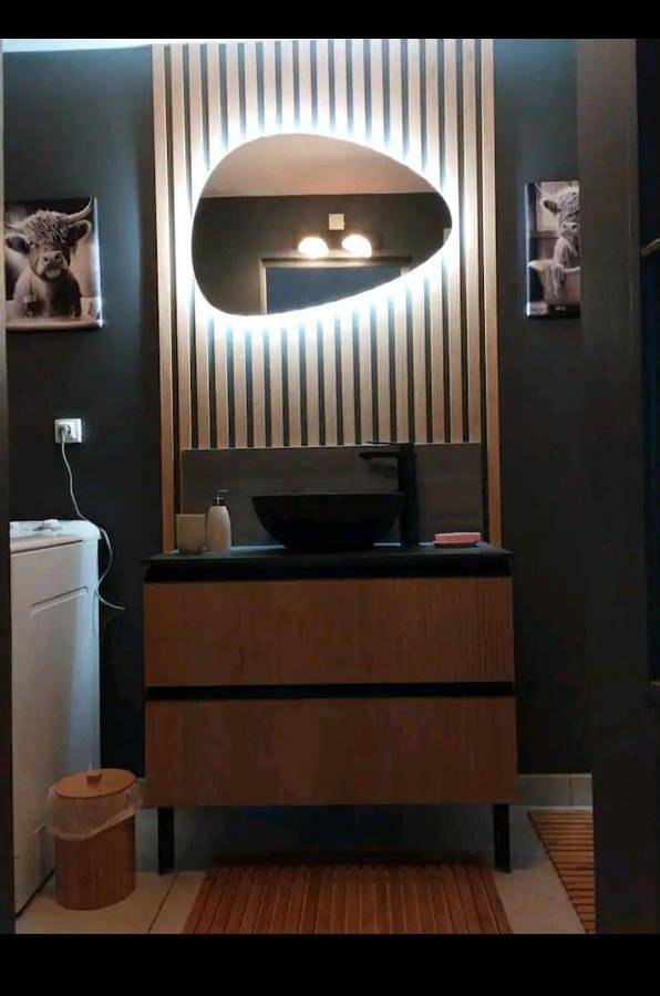 Location de vacances pour 6 personnes, avec vue et terrasse dans Valence-en-Poitou - 3