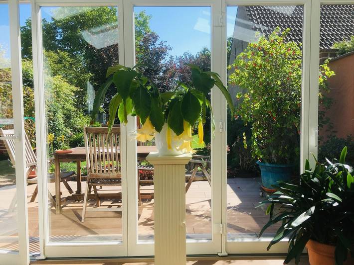 Ferienwohnung für 4 Personen, mit Terrasse und Garten in Cottbus - 4