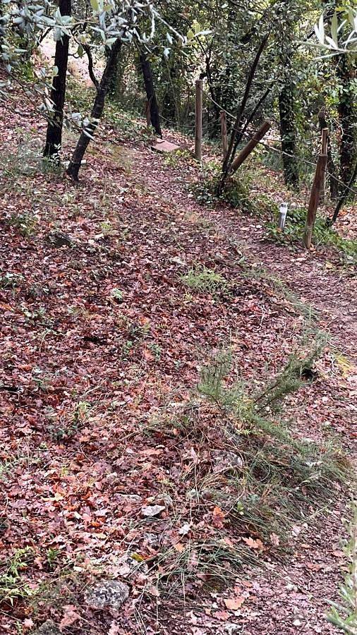 Chambre d’hôte pour 2 personnes, avec jardin ainsi que terrasse et vue, animaux acceptés à Barjols - 3