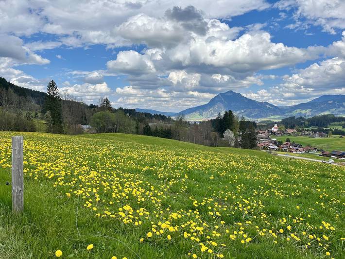Ferienwohnung für 2 Personen, mit Terrasse und Garten sowie Sauna in Ofterschwang