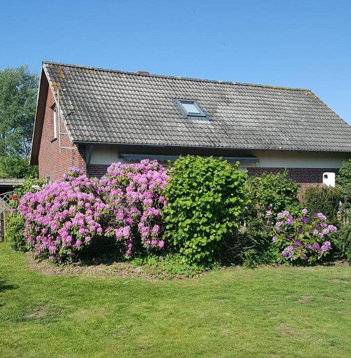 Ferienhaus für 6 Personen, mit Garten und Terrasse, mit Haustier in Jade - 4