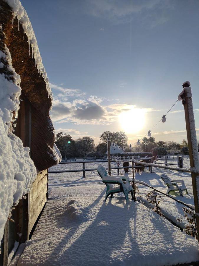 Parc de vacances pour 4 personnes, avec Terrasse ainsi que Jardin et Vue