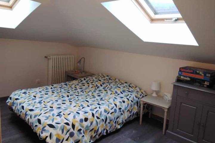 Gîte pour 9 personnes, avec jardin à Courzieu - 4