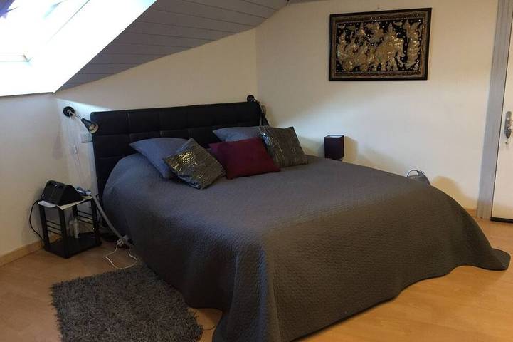 Location de vacances pour 7 personnes, avec jardin et terrasse à Villaz - 2