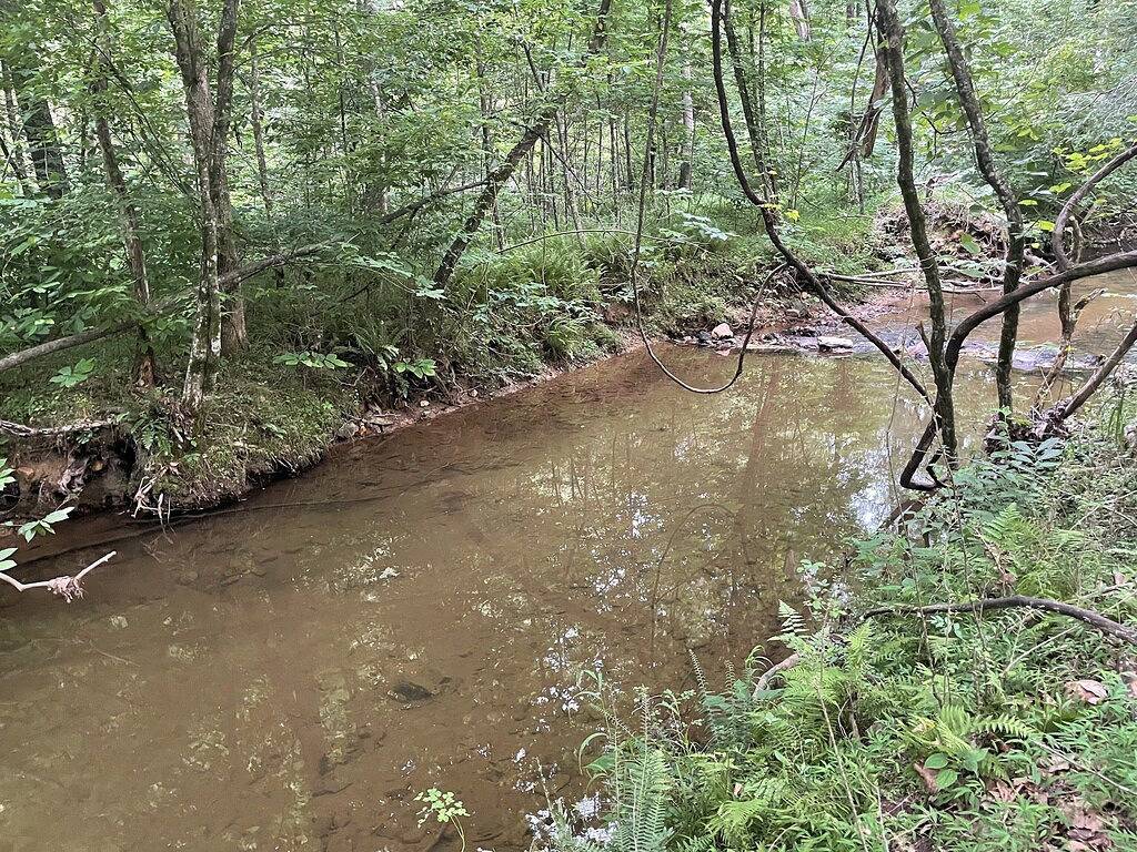 Cozy Cabin by the Stream in Cherry Log, Chattahoochee National Forest