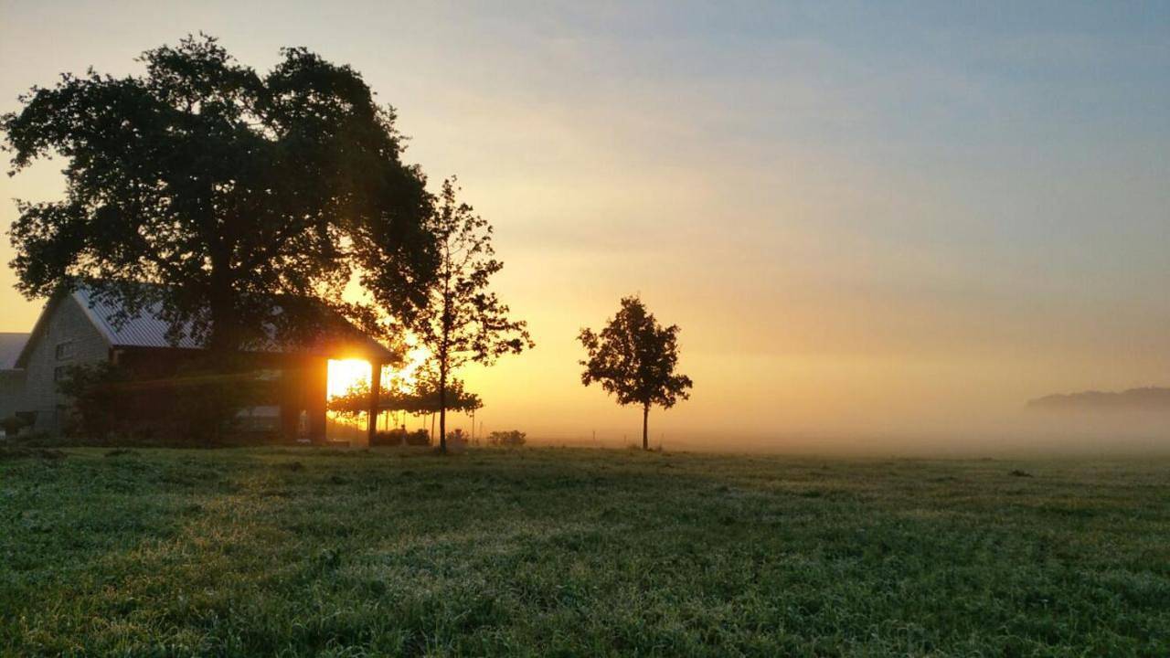 Erve 't Hacht in Hardenberg, Regio Zwolle