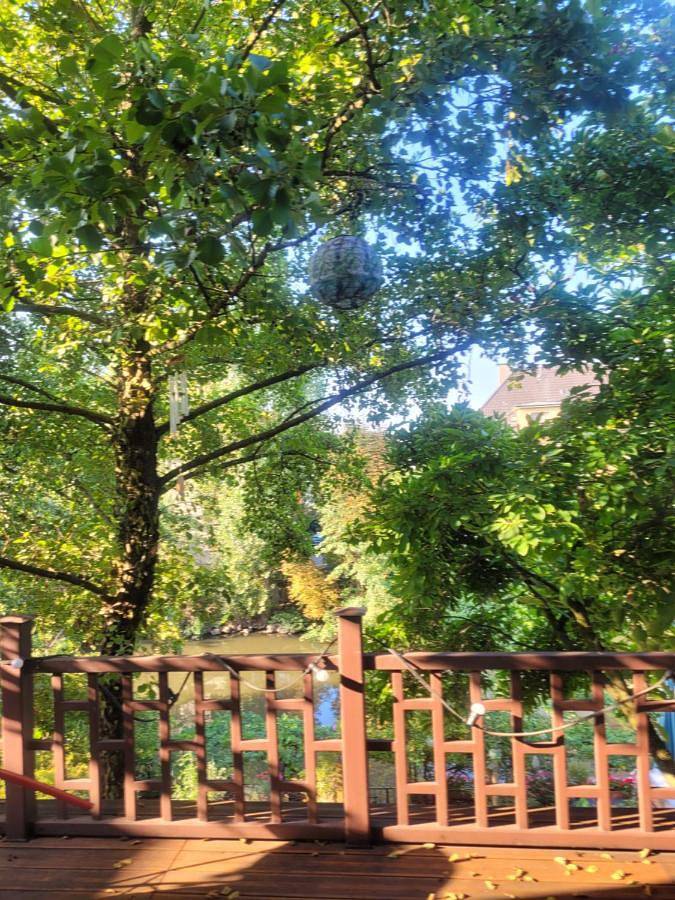 Chambre d’hôte pour 2 personnes, avec jardin et vue à Strasbourg - 4