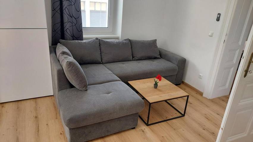 Ferienwohnung für 8 Personen, mit Garten in Linz - 4