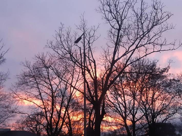 Ferienwohnung für 2 Personen, mit Haustier in Karlsruhe - 4