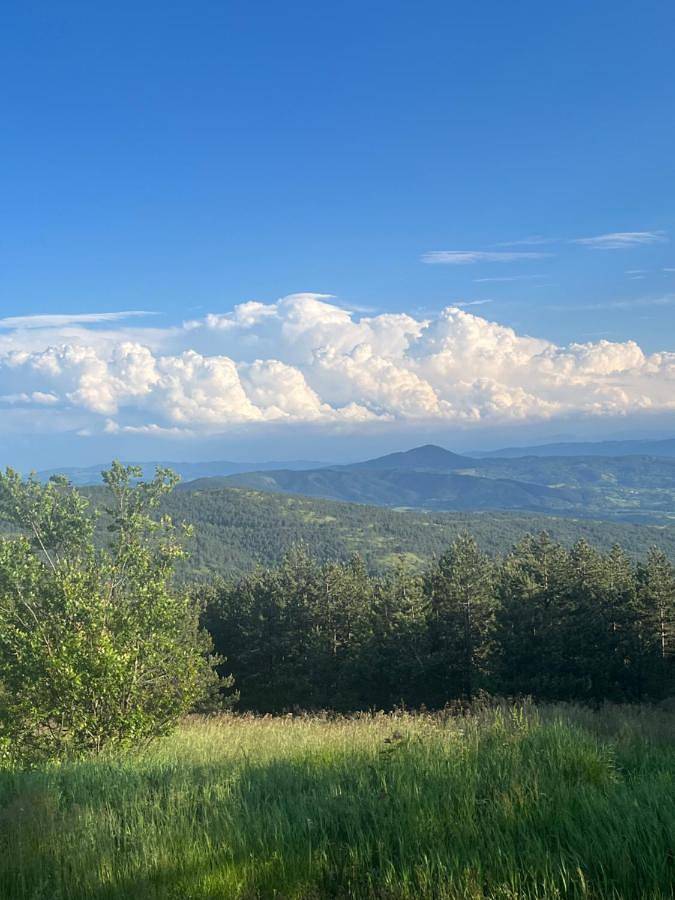 Gîte pour 3 personnes, avec terrasse et jardin à Kosjerić - 3