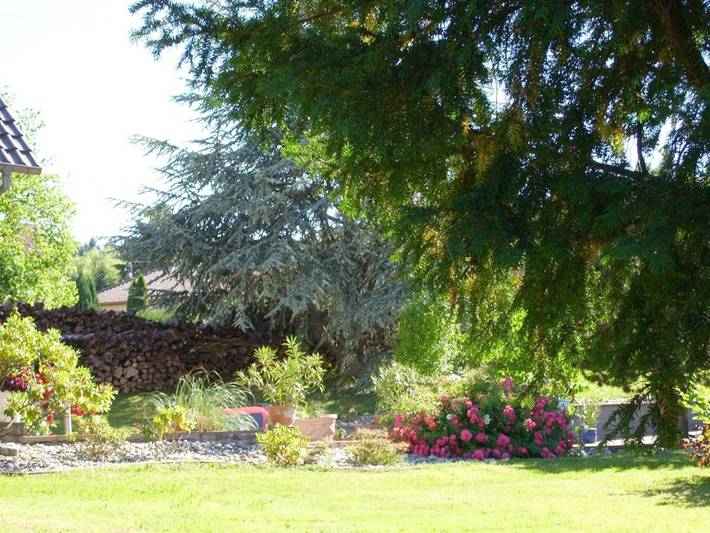 Gîte pour 5 personnes, avec vue sur le lac ainsi que jardin et vue, adapté aux familles à Oberhaslach - 4