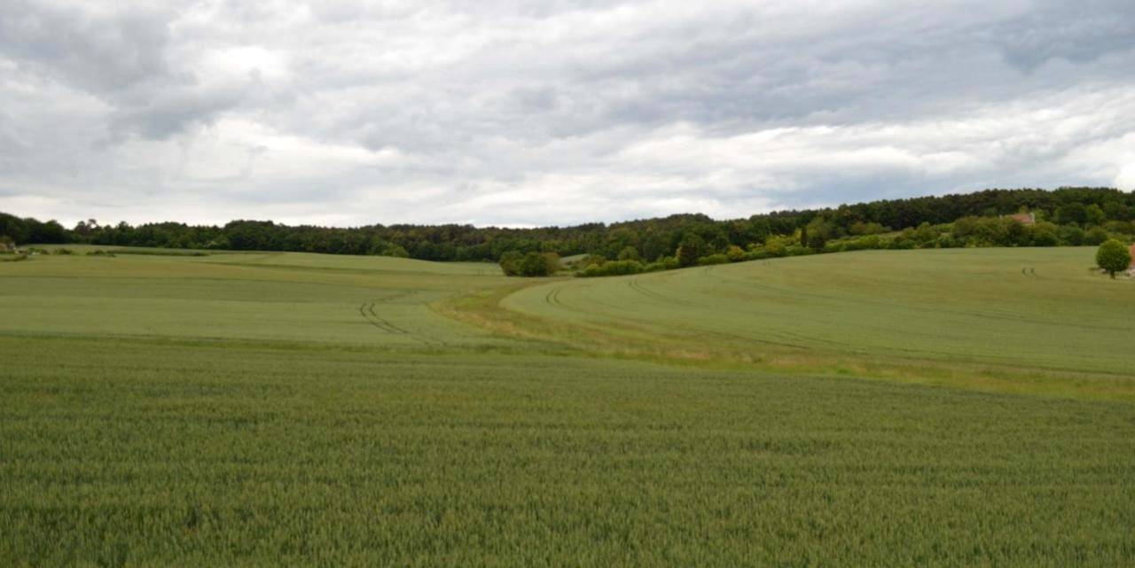 L'Abbesse in Scorbé-Clairvaux, Vienne (France)