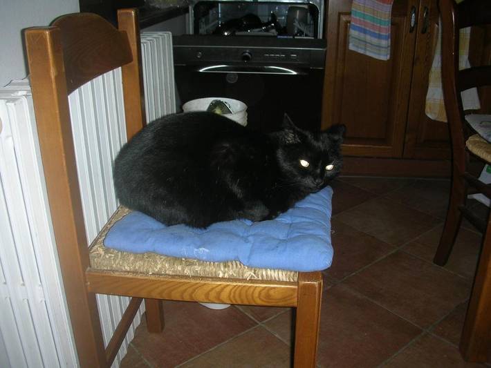 Location de vacances pour 2 personnes, avec vue et jardin à Sinalunga - 2