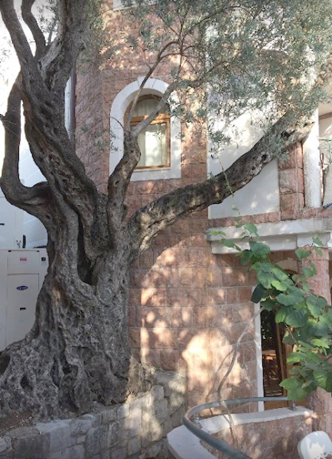 Levantin Inn 1-3 Zimmer N10 Meerseite in Sveti Stefan, Opština Budva