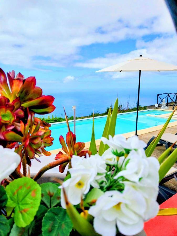 Madeira Native Motion Guest House in Madeira