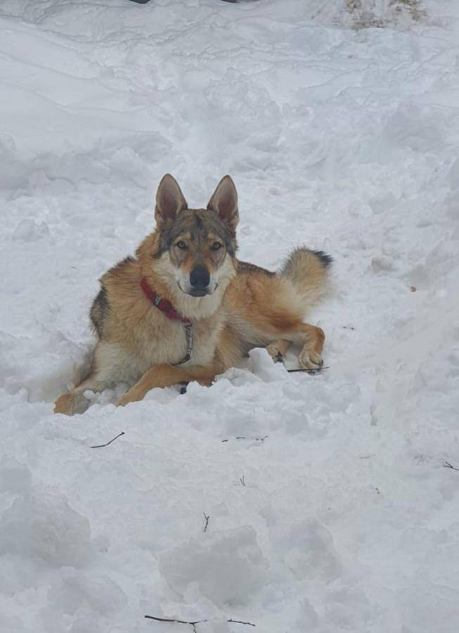 Gîte pour 2 personnes, avec balcon et vue, animaux acceptés à Rieti - 3