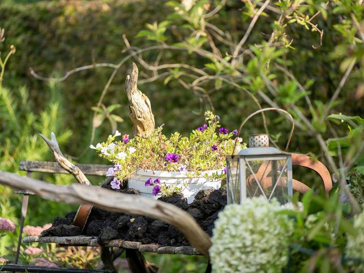 Ferienwohnung für 4 Personen, mit Garten in Hesel - 4