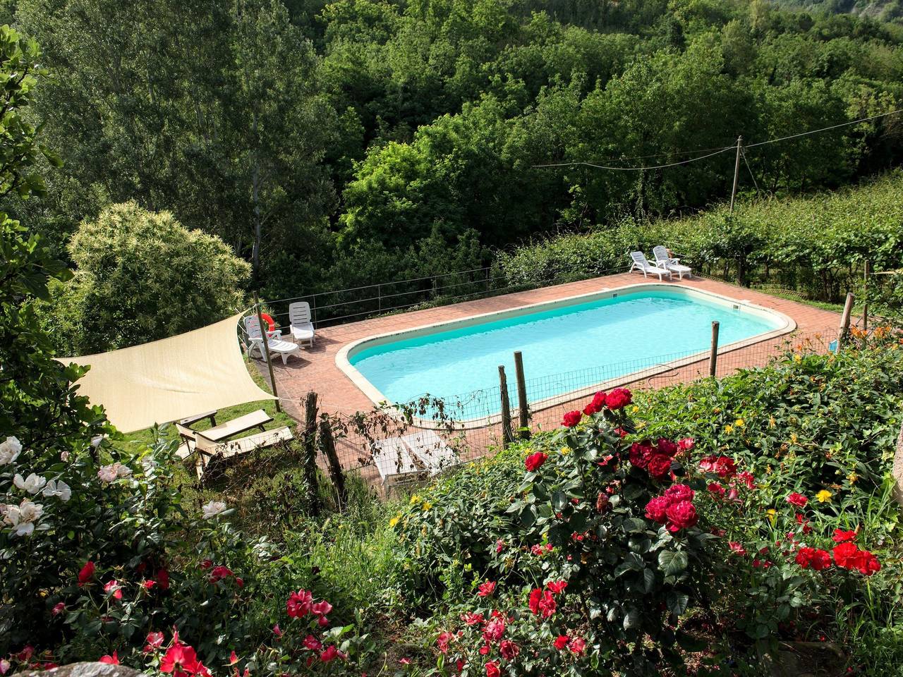 Apartamento en Modigliana con piscina in Modigliana, Provincia de Forlì-Cesena