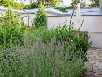 Bungalow für 2 Personen in Zinnowitz, Usedom, Bild 3