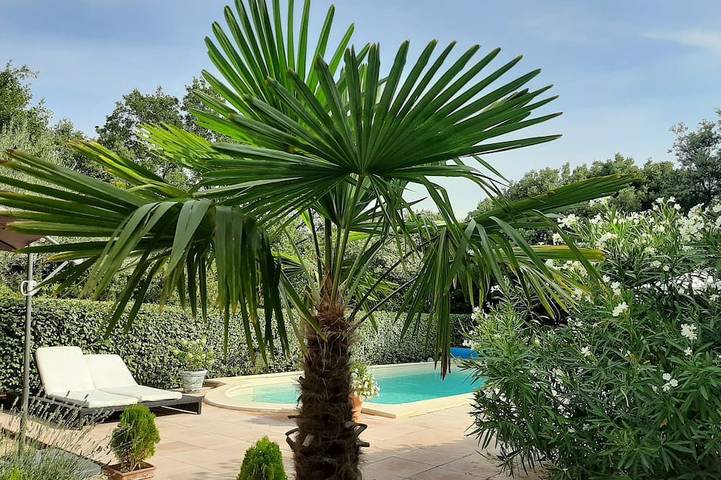 Villa for 6 people, with pool and garden - 1