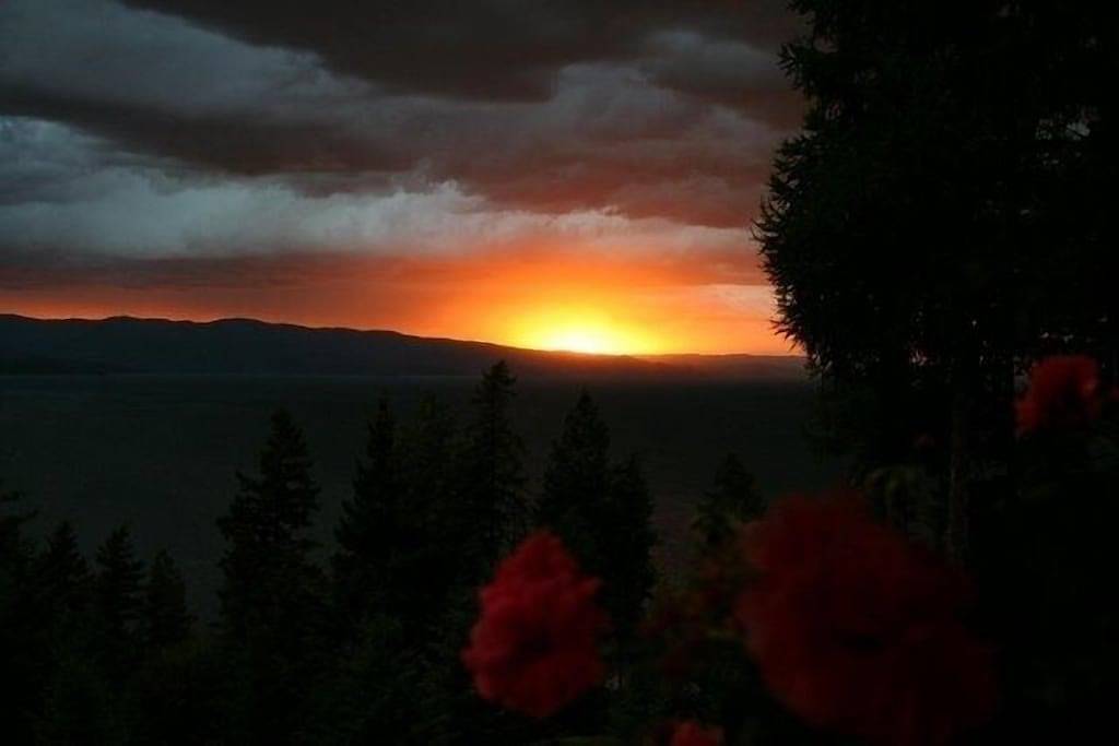 Flathead Lake - Bigfork Log Cabin Spectacular View Apartment in Flathead Nationalwald