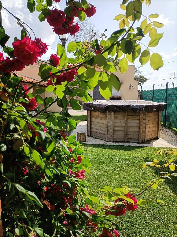 Casa rural para 13 personas, con jardín además de jacuzzi y piscina en Provincia de Salamanca - 2