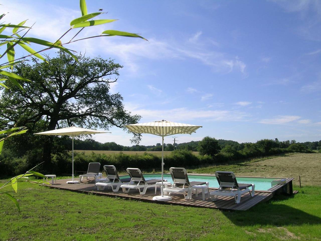 Séjour nature au Domaine avec Animaux admis, Piscine et Jardin in Neuilly-le-Réal, Allier