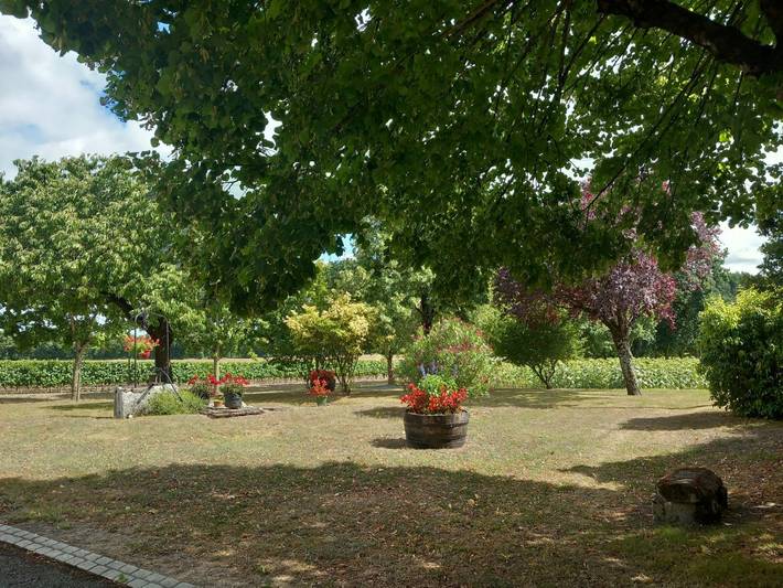 Chambre d’hôte pour 2 personnes, avec jardin en Charente-Maritime - 3