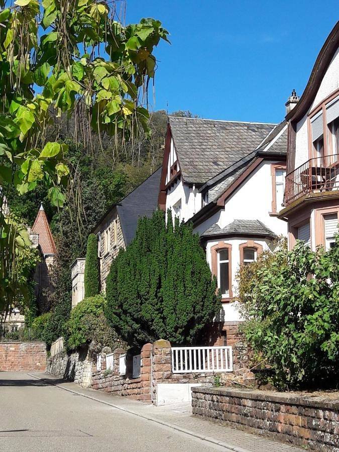 Ferienwohnung für 3 Personen, mit Balkon und Terrasse sowie Garten und Ausblick in Bad Bergzabern - 2