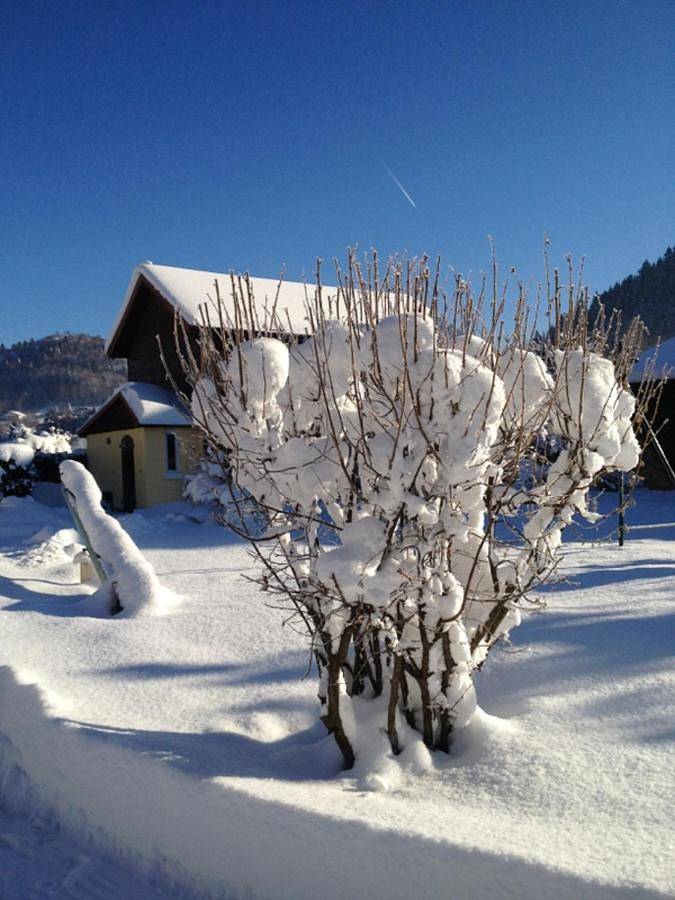 Terrace Cottage in Le Ménil, Parc naturel régional des Ballons des Vosges