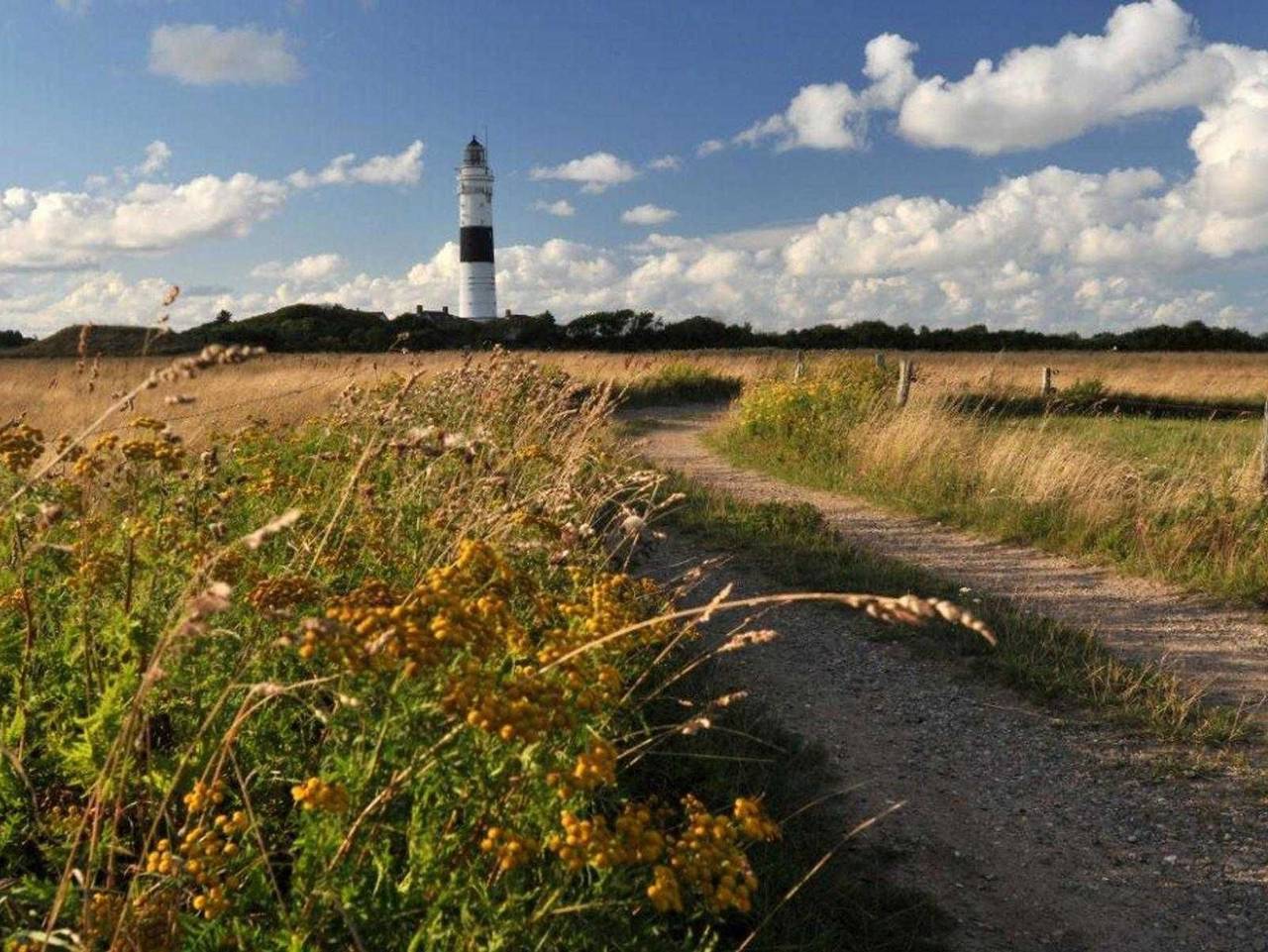 Bröns-Fén von A&M - Bröns-Fén in Kampen (Sylt), Sylt