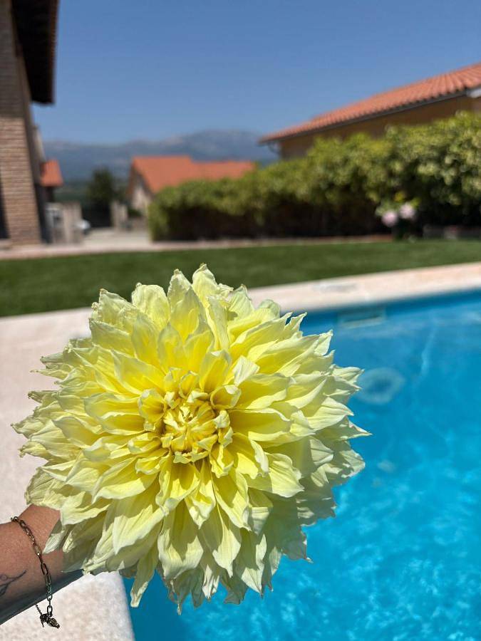 Chalet para 15 personas, con piscina además de vistas y terraza, Se admiten mascotas en La Vera - 4