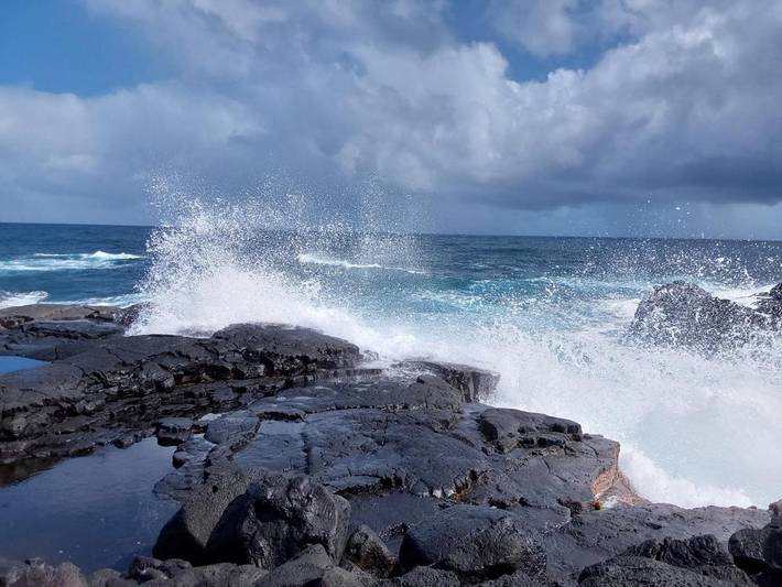 Maison d’hôte pour 3 personnes, avec vue et jardin dans Hawai - 2