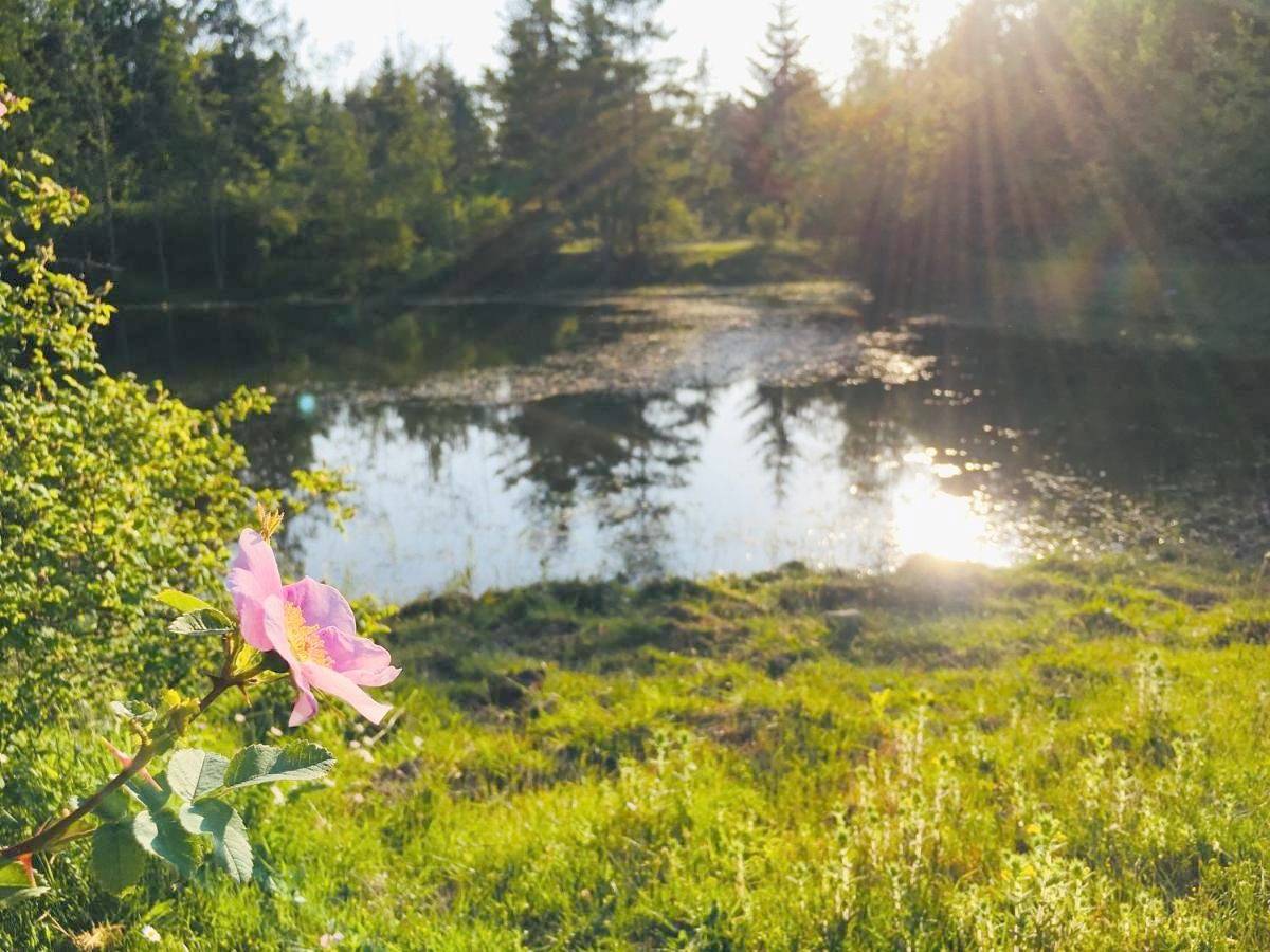 The Happy Bell Tent in Regional District of Nanaimo