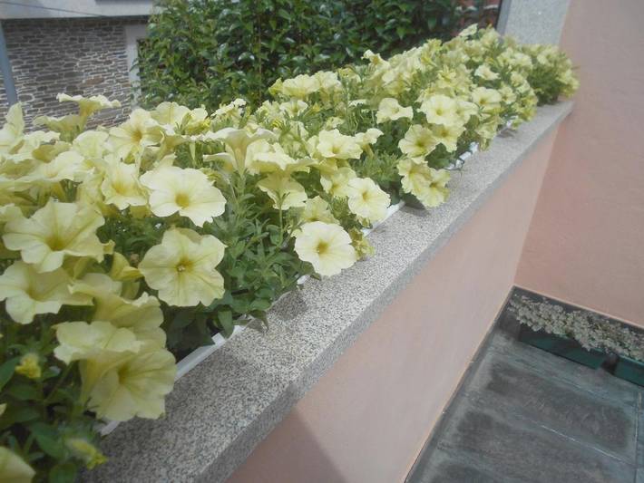 Gîte pour 2 personnes, avec terrasse et jardin à Sarria (Lugo) - 4