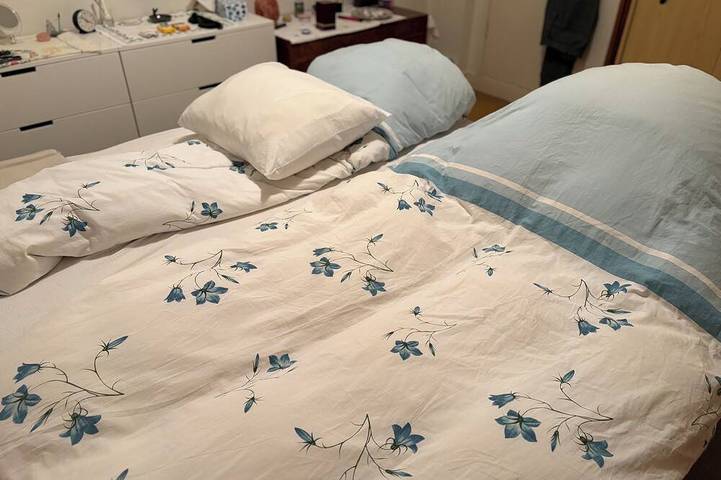 Ferienhaus für 2 Personen, mit Garten und Whirlpool in Alkmaar - 2