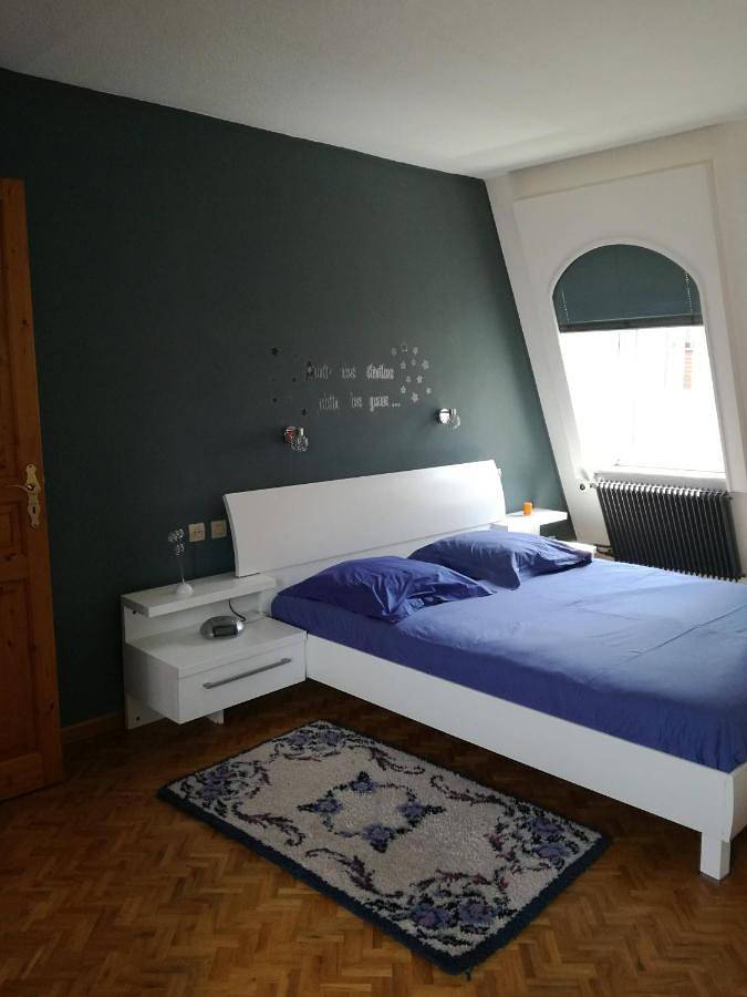 Appartement entier, "Côté cœur", charmant appartement familial au centre de Munster in Munster, Parc naturel régional des Ballons des Vosges