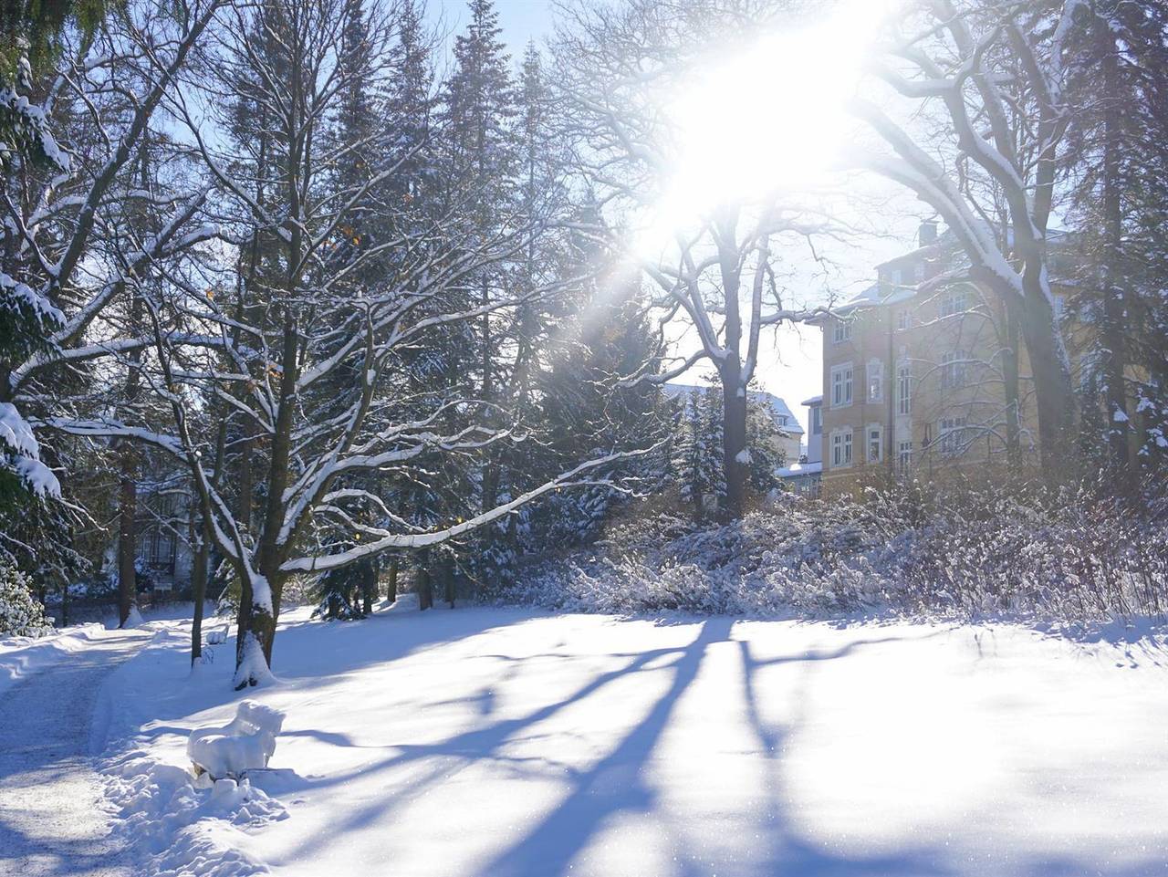 Parkhotel Helene - Doppelzimmer, Dusche, Wc, Standard,online in Bad Elster, Chemnitz und Umgebung