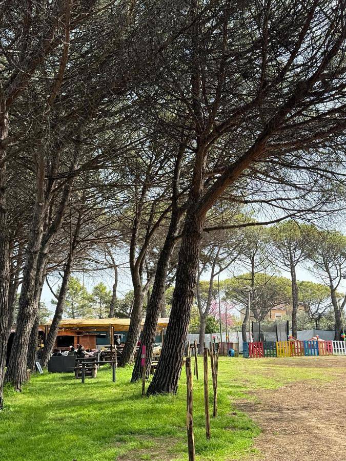 Empty lot in Licinella - Torre di Paestum, Capaccio
