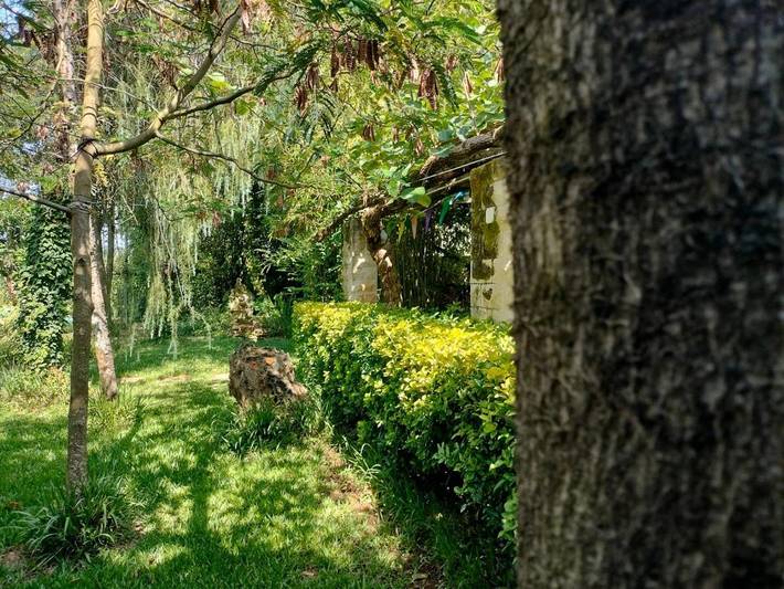 Casa rural para 6 personas, con Terraza y Jardín en Luso - 3