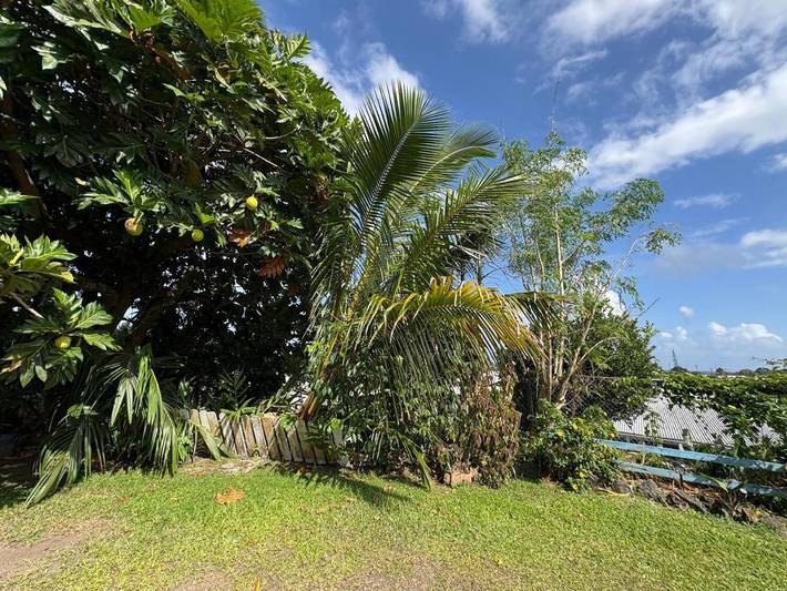 Chambre d’hôte pour 6 personnes, avec jardin dans Hawai - 2