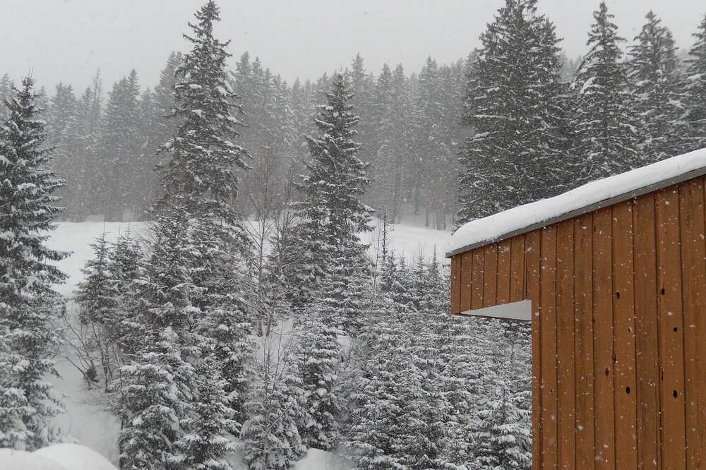 Appartement entier, Studio 4 personnes Le Pleynet/Les 7 Laux pied des pistes (120kms de pistes) in La Ferrière, Le Pleynet Les Sept Laux
