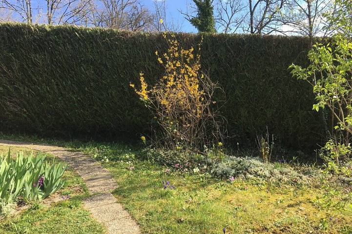 Location de vacances pour 5 personnes, avec jardin à Tanlay - 4