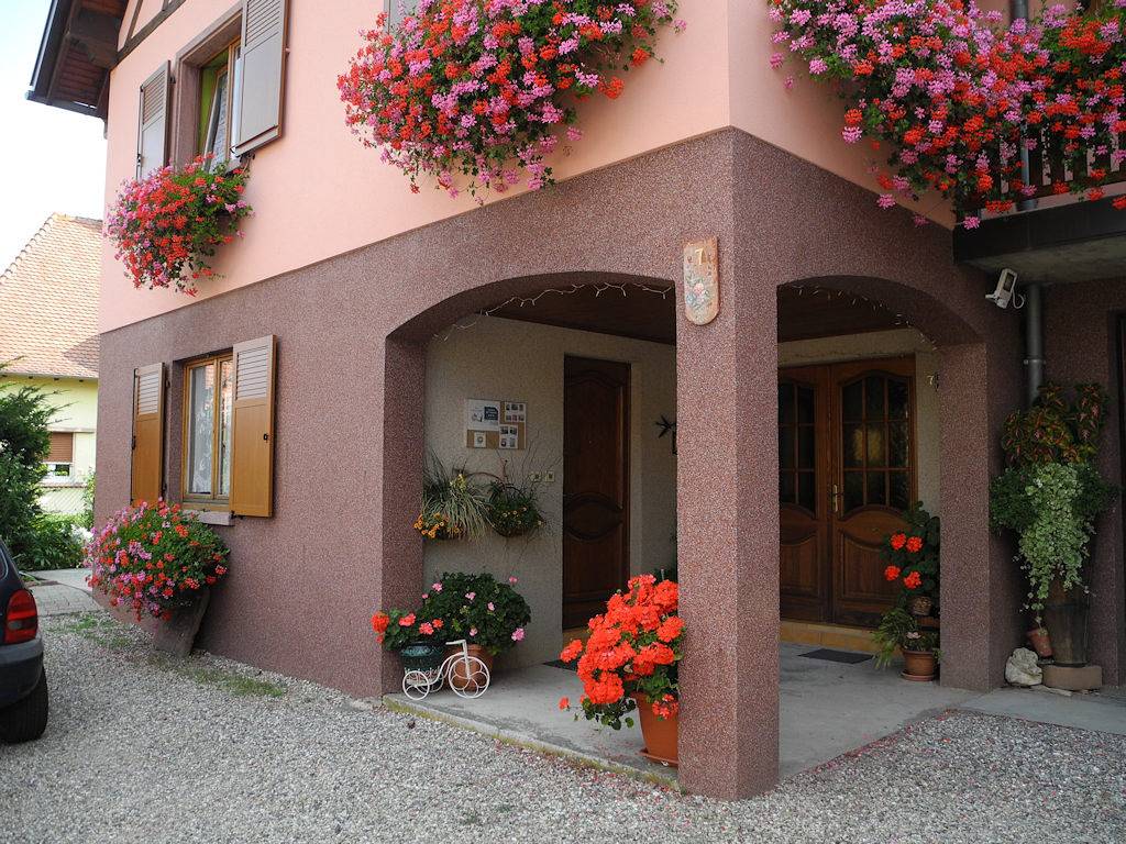 Epfig Gîte Les Hirondelles - 2 gîtes au centre Alsace in Epfig, Région de Sélestat-Erstein