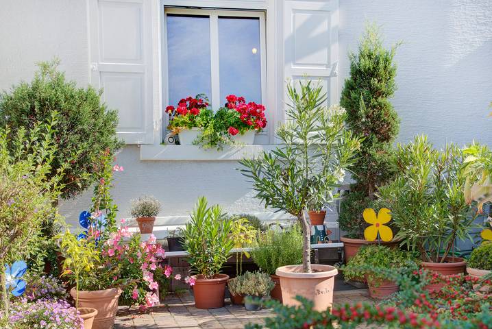 Hôtel pour 3 personnes, avec terrasse et jardin à Bad Herrenalb - 4